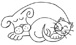 Carr Moss Kennels and Cattery