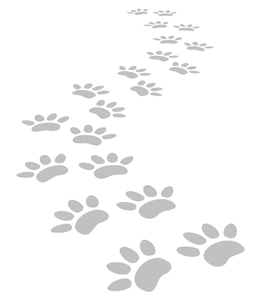 paws-b