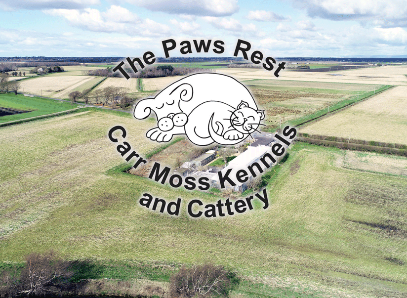 Gallery Carr Moss Kennels and Cattery